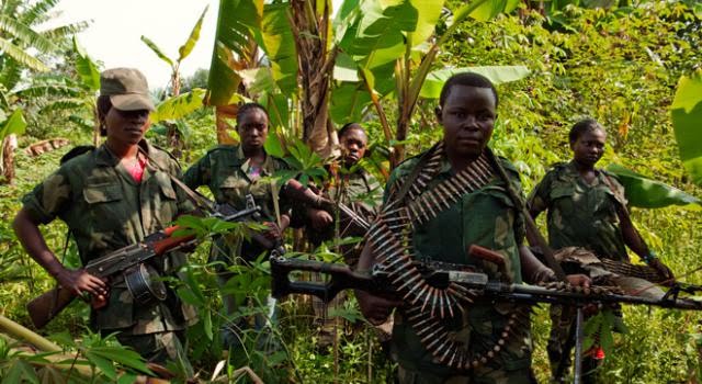 Nord-Kivu : douze miliciens Maï-Maï qui se sont rendus ont été inscrits au programme PDDRC-S