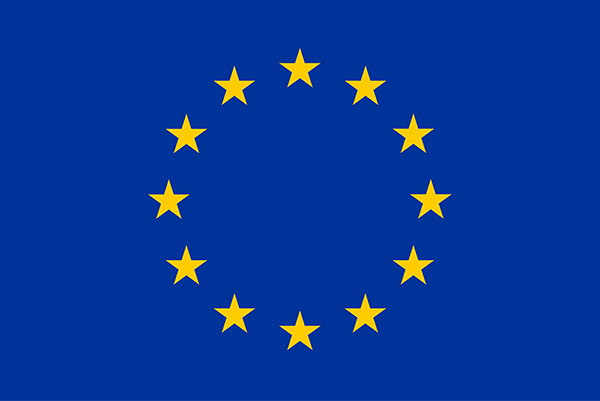 Élections 2023 : l’UE félicite la CENI à traiter d’autres cas de fraude signalés
