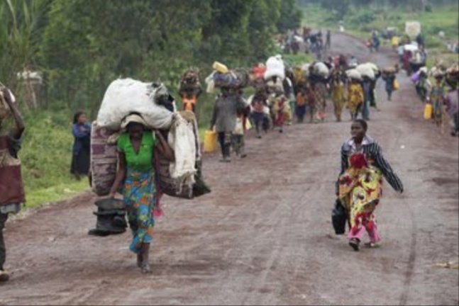 Insécurité au Nord-Kivu : Une ONG exige la suspension momentanée des taxes dans la province