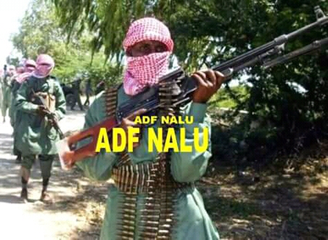 RDC : Plusieurs civils ont été tués mercredi 12 juin 2024 au Nord-Kivu par les terroristes ADF