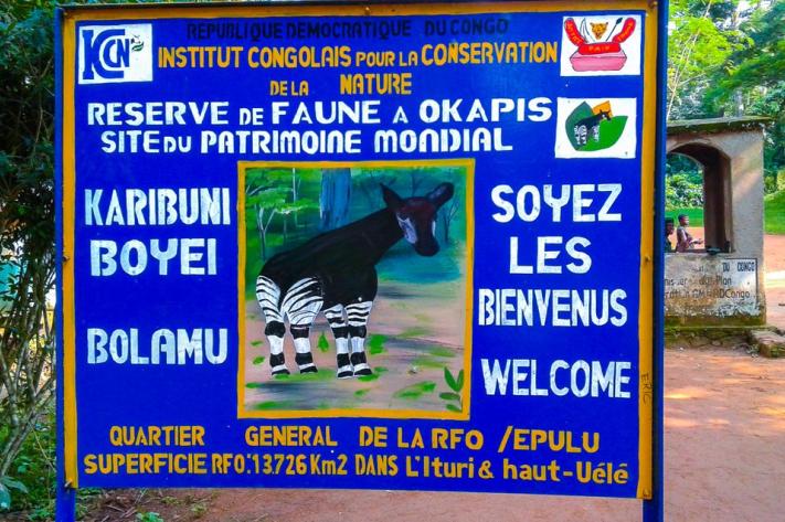 Ituri : L’ICCN dénonce l’exploitation illicite des minerais dans la RFO
